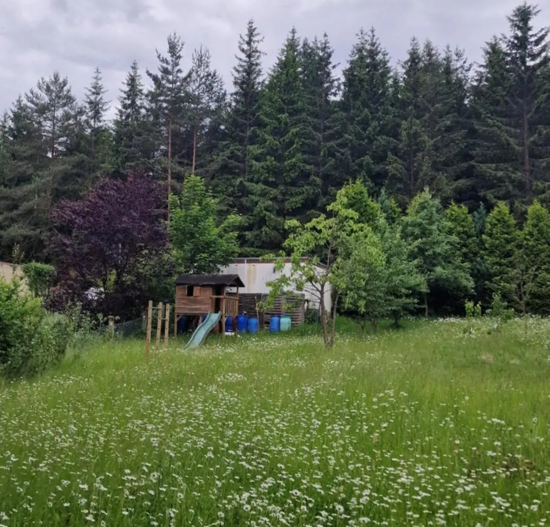 Altes Zollhaus Im Wald Apartment Rehau 0*,