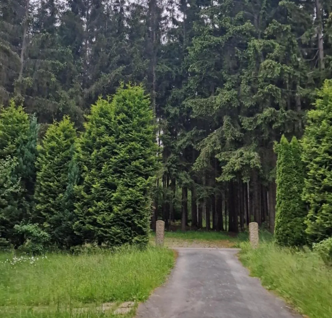 Altes Zollhaus Im Wald Apartment Rehau