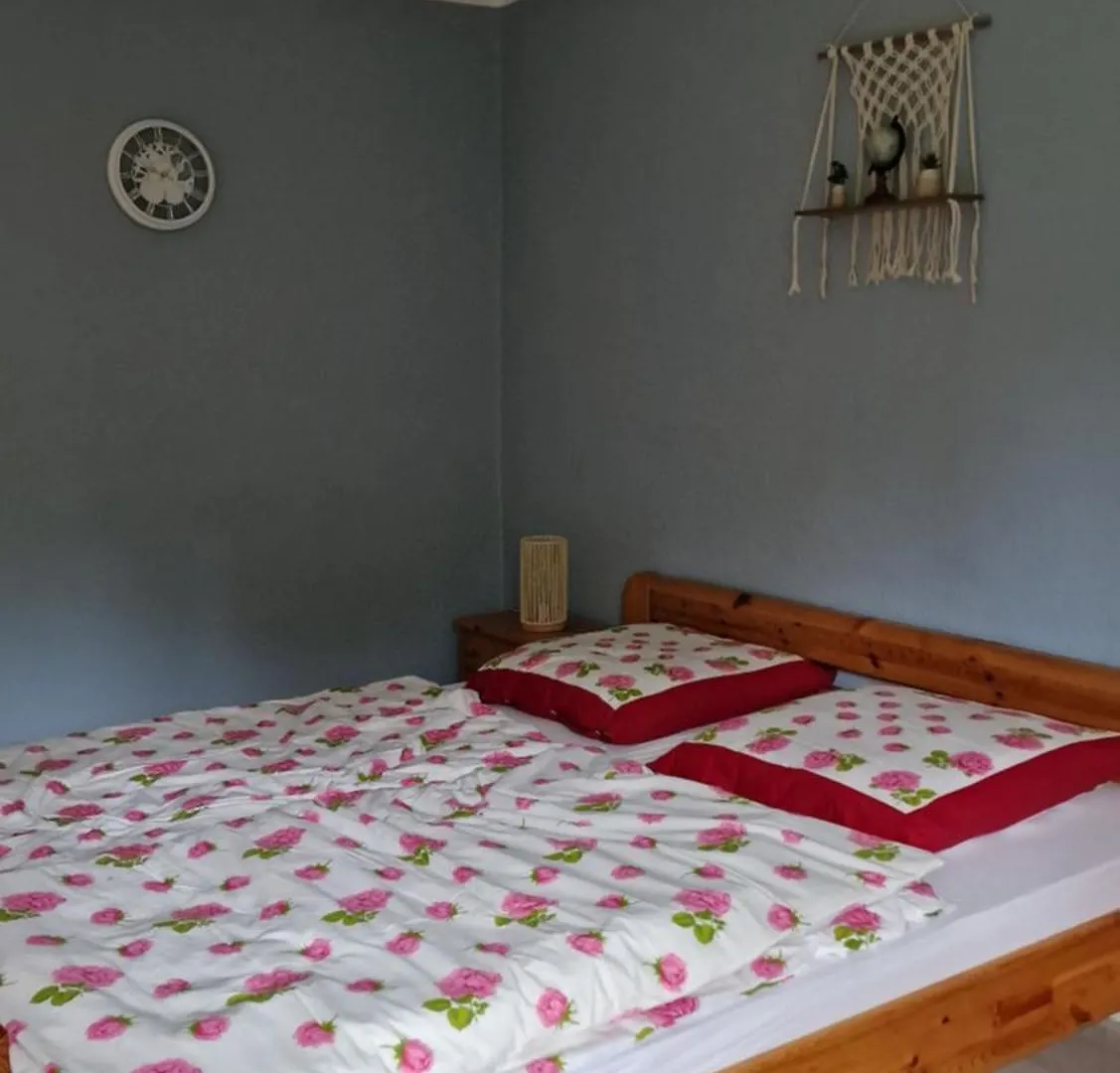 Altes Zollhaus Im Wald Apartment Rehau 0*,  Germany