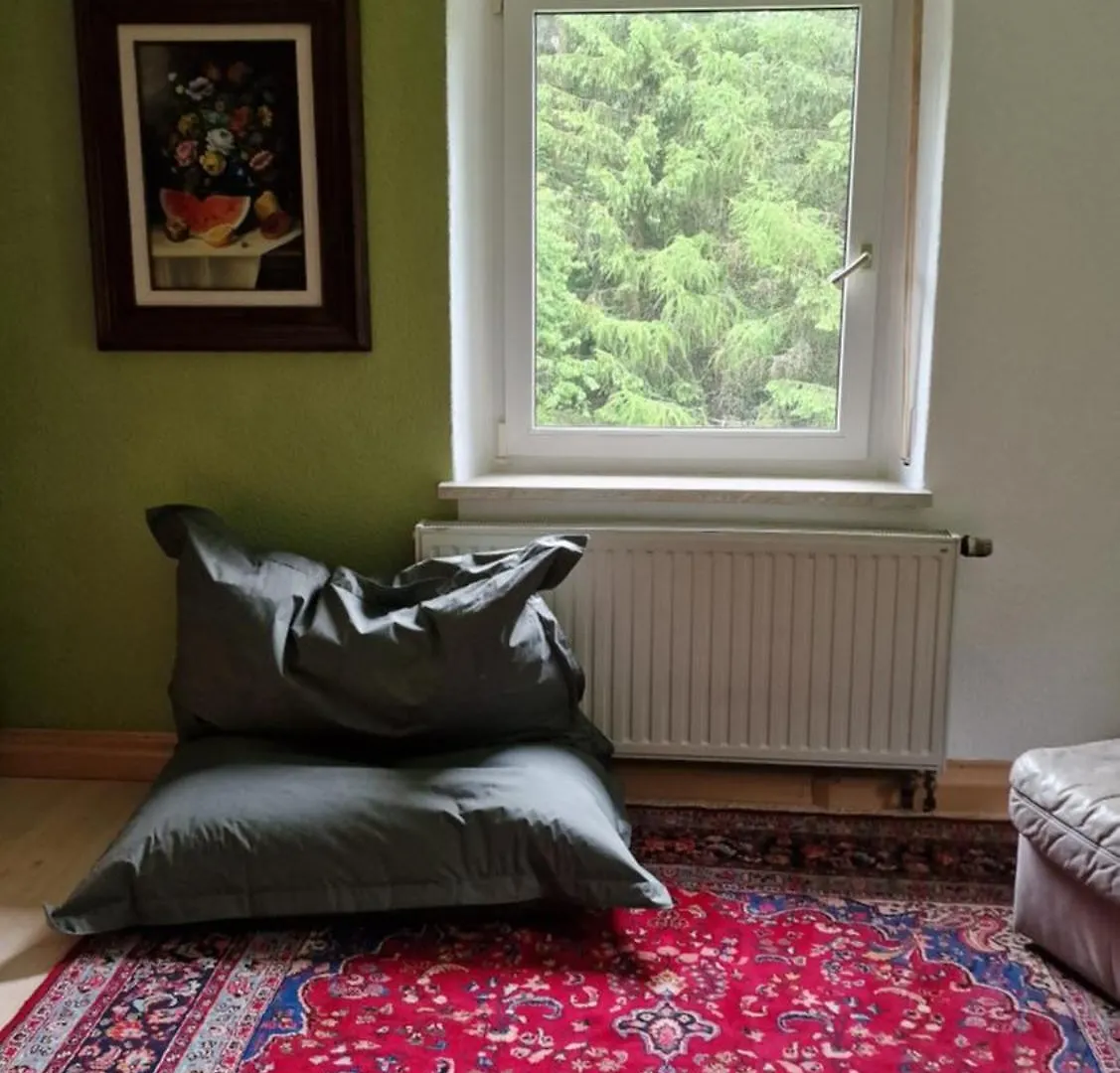 Altes Zollhaus Im Wald Apartment Rehau Germany