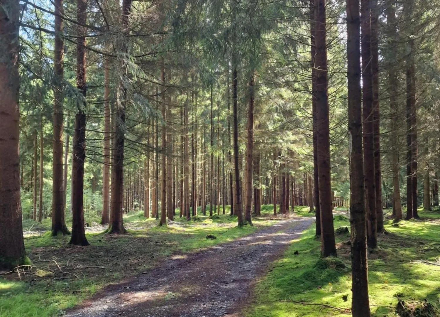 Altes Zollhaus Im Wald Apartment Rehau
