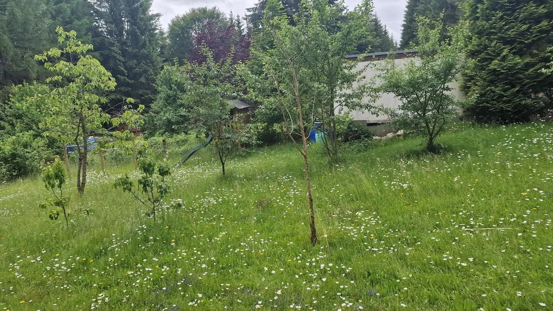 Altes Zollhaus Im Wald Apartment Rehau Germany