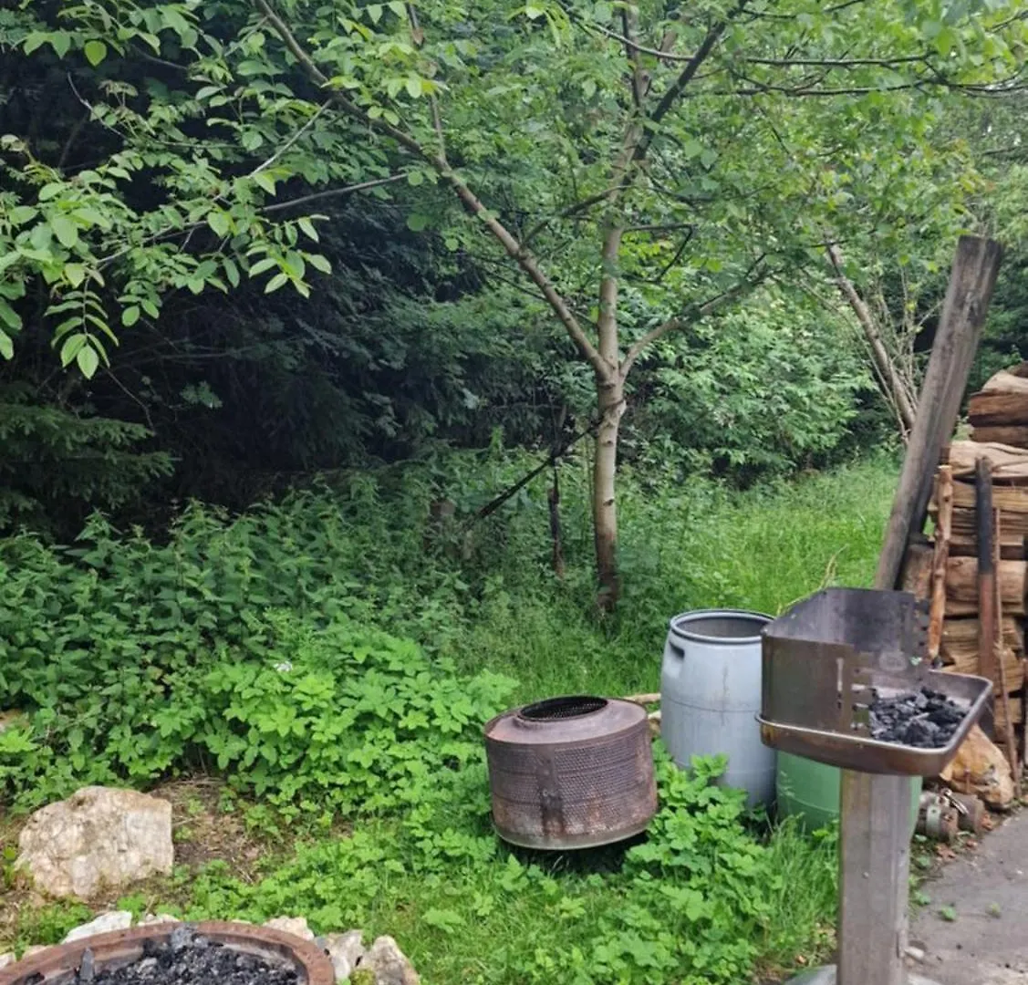 Altes Zollhaus Im Wald Apartment Rehau